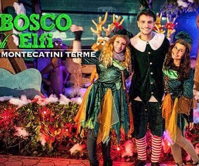 Bosco degli Elfi – MonteFantasy